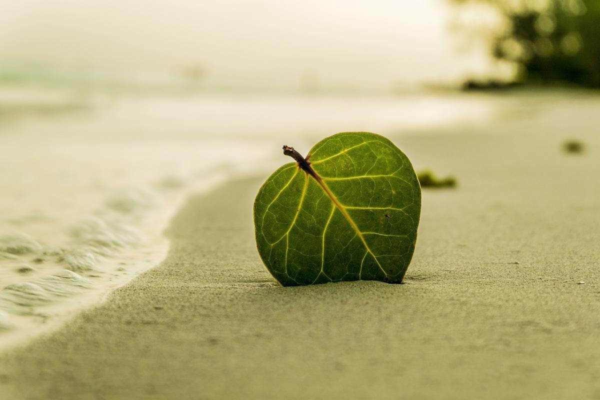 Laat je verleiden door de geurige kruiden van de Caribische keuken