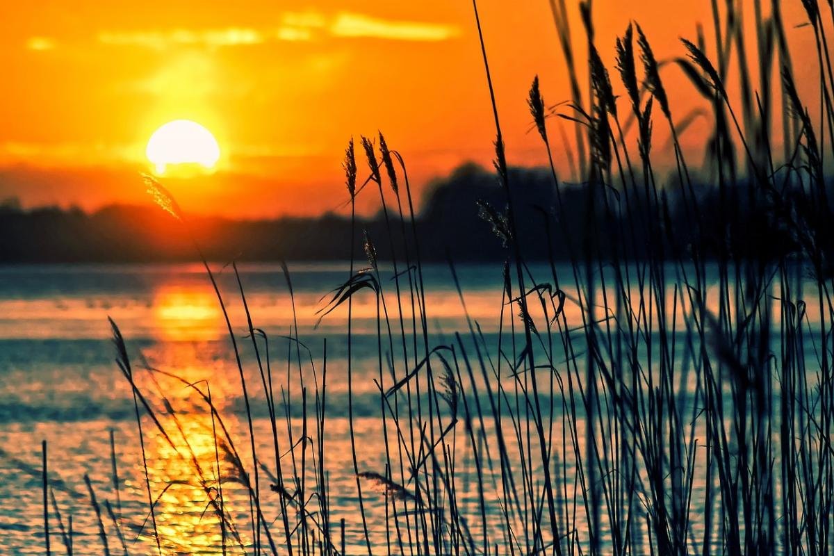 Neem deel aan een opwindende duikexpeditie naar scheepswrakken