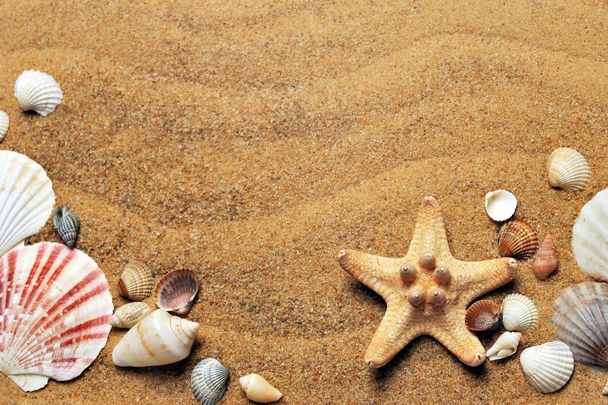 Verken het bruisende strand van Orient Bay